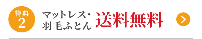 特典2 羽毛ご購入の方へ 健康マットレスプレゼント又は 特別割引！！
