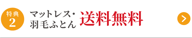 特典2 羽毛ご購入の方へ 健康マットレスプレゼント又は 特別割引！！